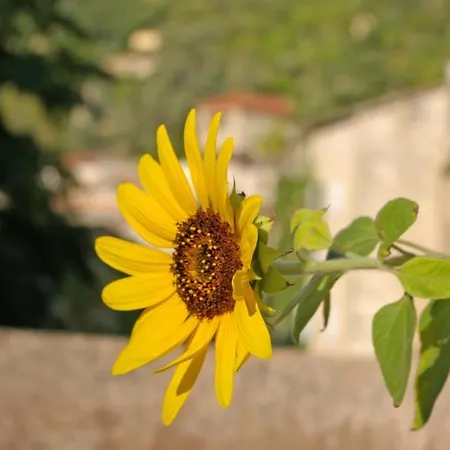 Bed & Breakfast Les Anglaises Largentiere